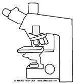 microscopio laboratorio para la fotografa digital