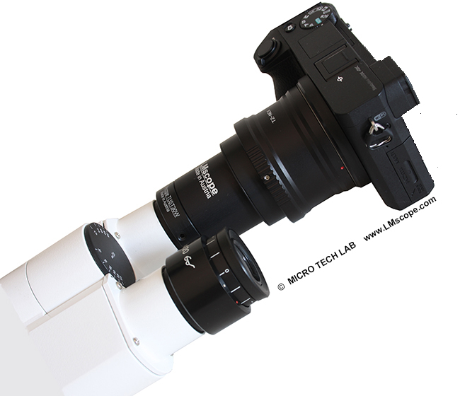 Mikroskop Okularadapter fr Okulartubus 23,2mm oder 30mm / Montage Sony A7R4  am Fototubus C-Mount 1x