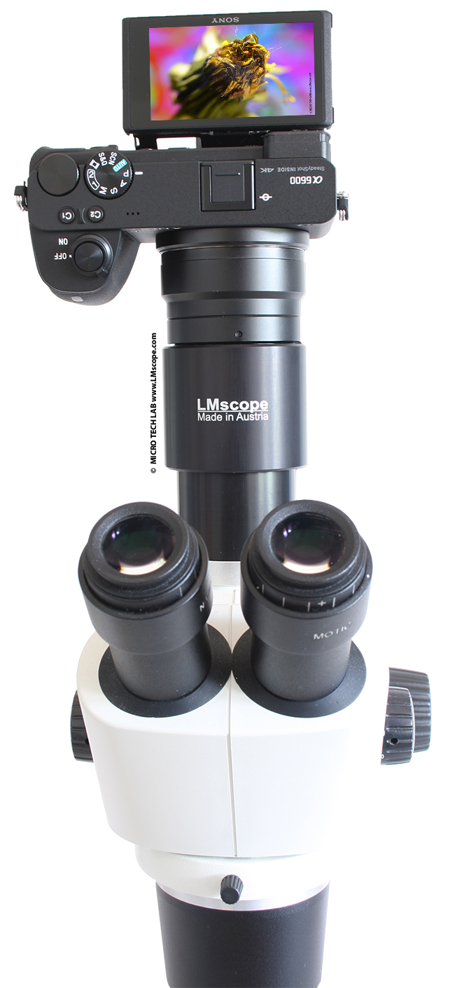  Montage Sony Alpha 6600 sur le microscope avec phototube, cran tactile camra microscope
