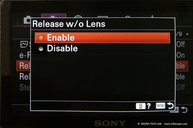 Sony Alpha 6400 DSLM release without lens