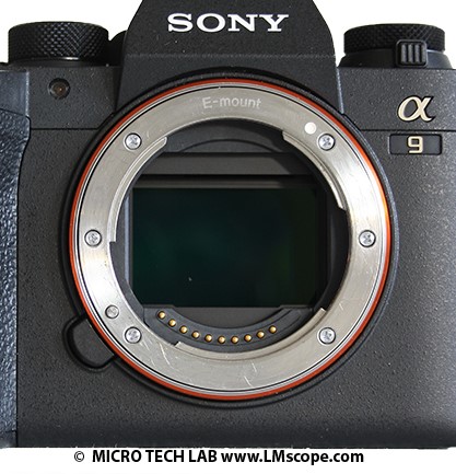 Sony Alpha ILCE 9MII E-mount camera adapter photomicroscopy