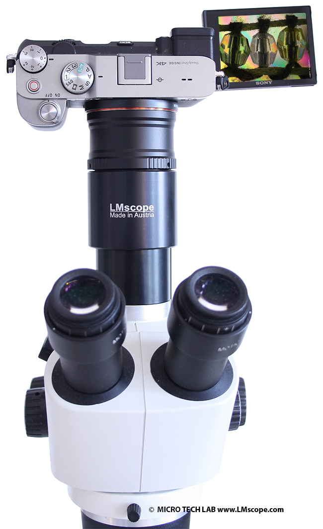 Camra systme Sony Alpha 7c comme camra de microscope sur le tube photo