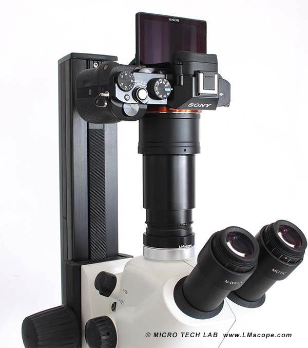 Sony DSLM on microscope with stand