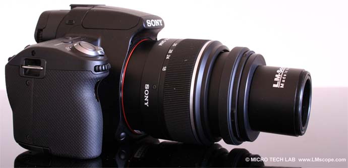 Sony Alpha 55 and LM Macro 40