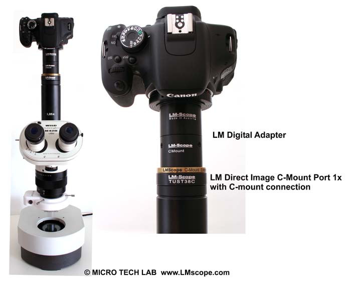 fotogrfico con macroscopio Leica Wild M420 y LM digital adaptores