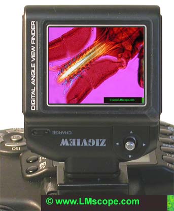 Zigview Vista previa de la imagen en directo con cmaras digitales rflex y anlogas rflex