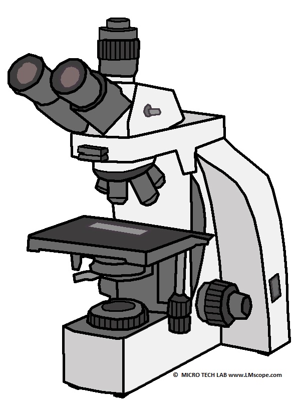 Amscope T800 laboratory microscope low-cost device