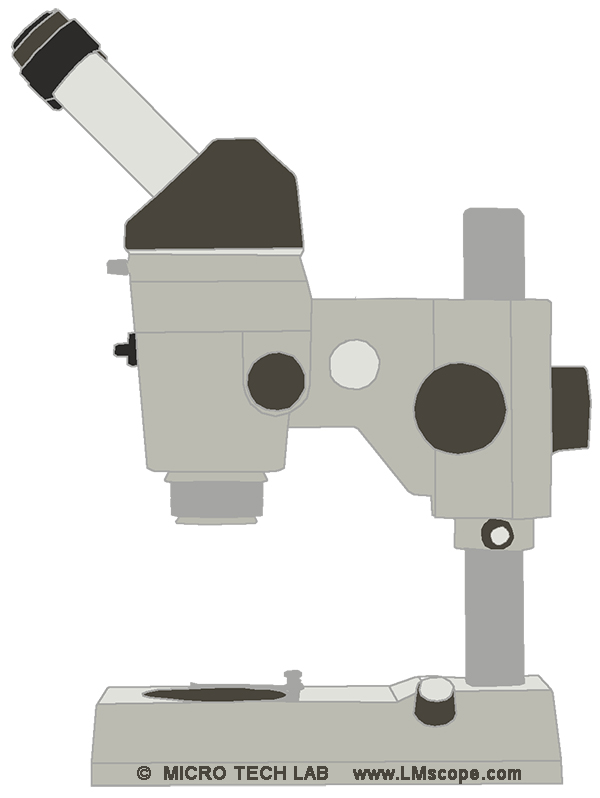 streomicroscope zeiss sv8 avec adapteur numrique LM