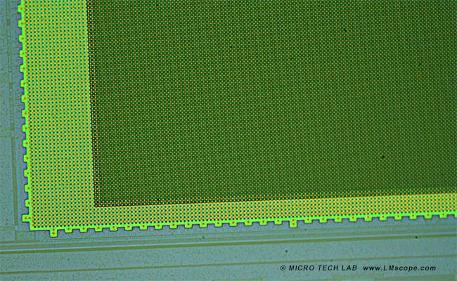 Mikrofotografie CMOS Sensor mit Bayerfilter LM Adapterlsung