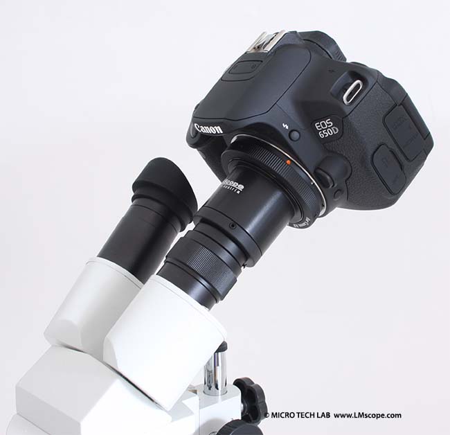 Kindermikroskop mit Kamera DSLR Canon EOS Okularadapter