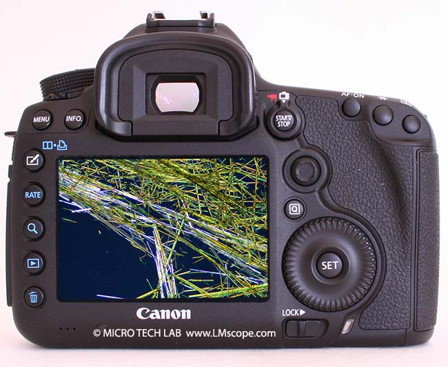 Canon 5D Mark III dos de l appareil photo cristals