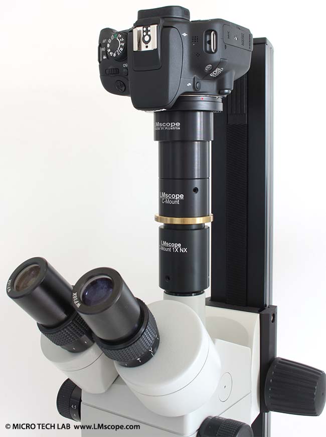 Canon EOS 100D Kamera Montage am Mikroskop mit LM digital Adapter
