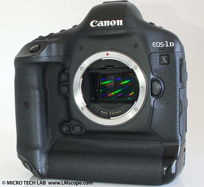 Canon EOS-1D X fullframe sensor camera for microscopy use