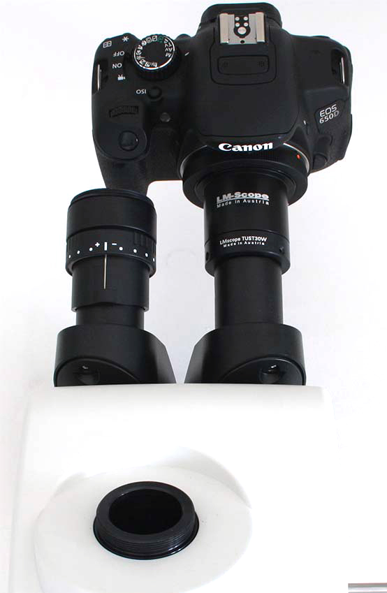Montage einer Digitalkamera am Okulartubus Leica Stereomikroskop, Solide Adapter Lsung auch fr schwere Digital kameras