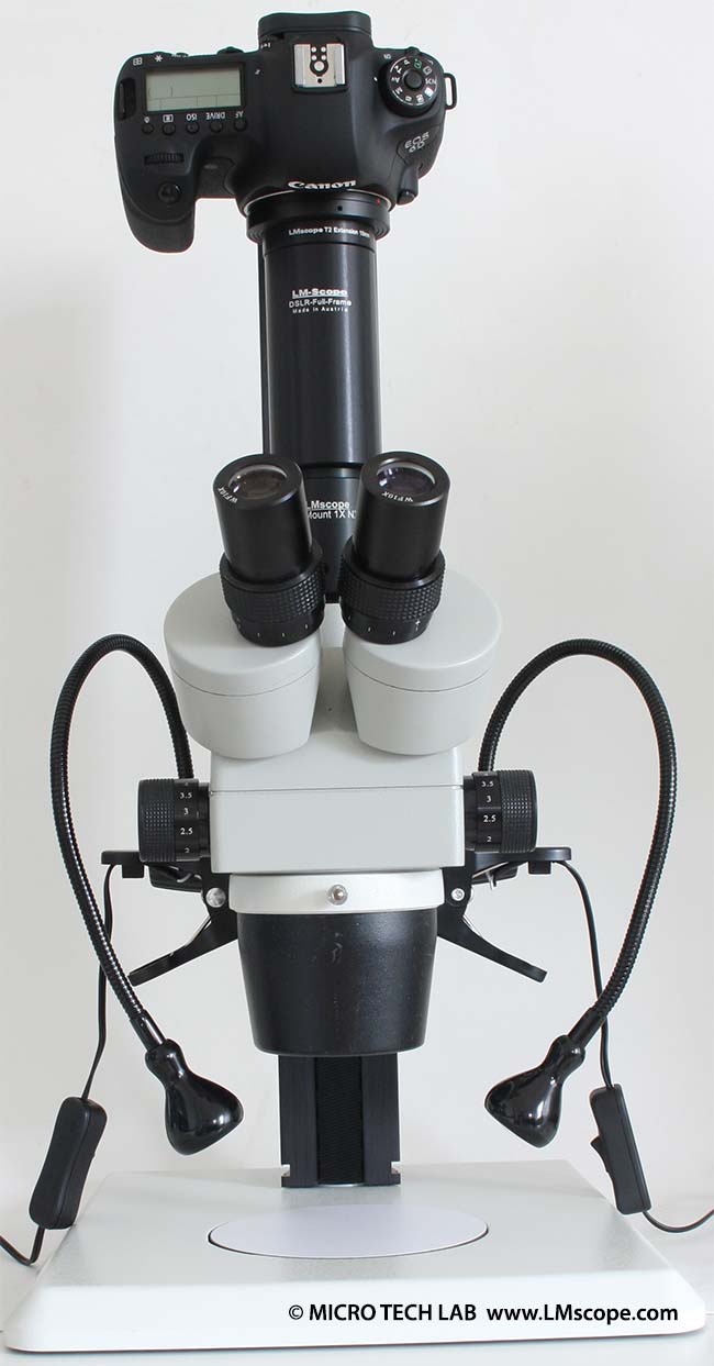 Canon EOS DSLR Stereomikroskop Euromex Schwanenhals Spots