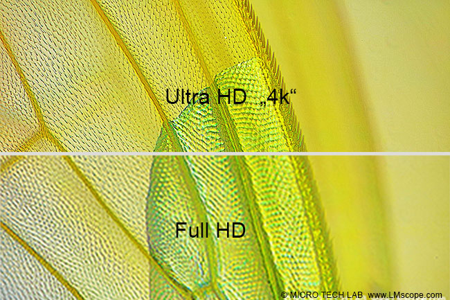 UltraHD Vergleich Full HD Mikrofotografie LMscope