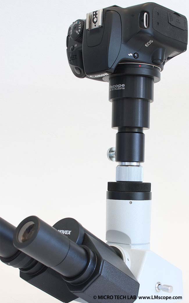 mounting a camera on the trinohead of a Euromex Novex B microscope