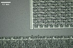 MUPID-Chip: Chip aus den 1980er Jahren in 200x Vergrerung