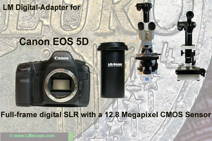 Einsatz digitaler SLRs mit CMOS-Vollformatsenor in der Mikroskopie