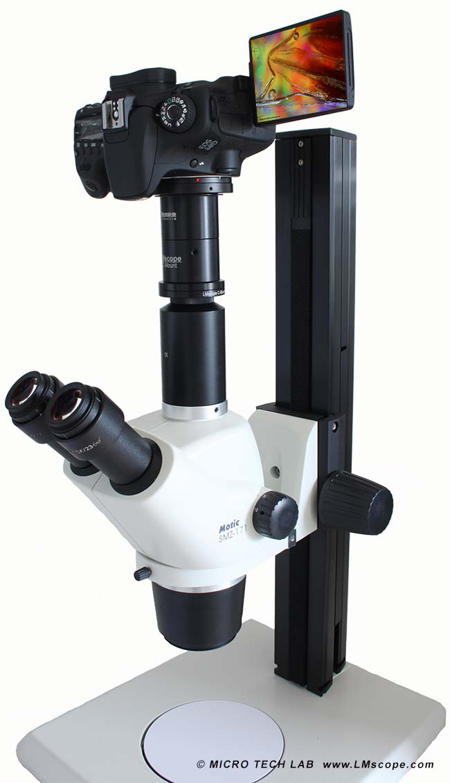 Motic c-mount adapter on microscope