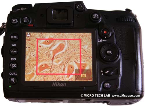 Nikon D7000 magnifying function Lv switch