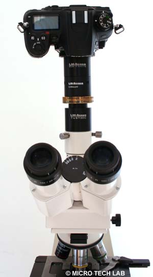 Nikon D7000 con adapadores digitales LM por la microscopa