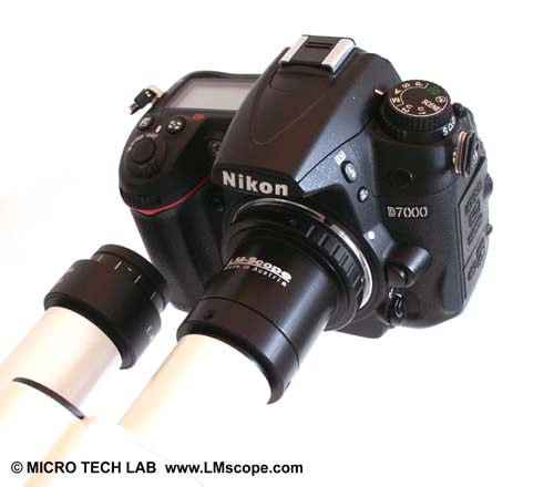 Nikon D7000 with  LM digital adapter on the eyepiece  tube