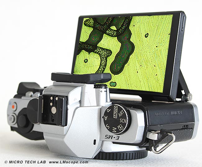 Olympus OM-D E-M5 Mikroskop Bild