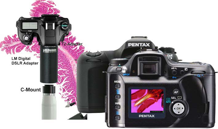 Pentax Kamera fr Mikroskope