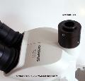 The Olympus SZ61 stereo microscope with the LM digital adapter and digital SLR camera