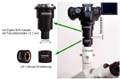 All in one: LM Digital SLR Universal Adapter fr Fototubus und Okulartubus (C-Mount, 23.2mm, 30mm 37mm, 38mm, 42mm)