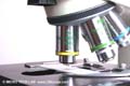 Bildoptimierung und Troubleshooting beim Fotografieren am Mikroskop