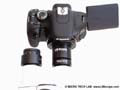 La Canon EOS 600D nos ha impresionado para su uso en microscopa: Montaje fcil via ocular o tubo foto con el adaptador microscpico LM