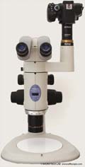 Microscope photography with the Nikon SMZ1500 stereoscopic zoom microscope
