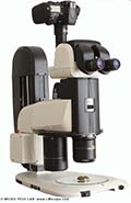 Rapport d'essai dtaill : le stromicroscope Nikon SMZ25 adapt  la photographie numrique