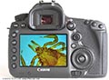 La cmara Canon EOS 5DS R de fotograma completo de alto rendimiento en el microscopio
