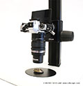 Eine echte Alternative zu Stereomikroskopen:Olympus OM-D M5 mit der praktischen LM Makrovorsatzlinse 40mm aufdem LM Makrostativ 3