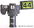 Canon EOS 200D - Essai pratique au microscope avec les adaptateurs numriques LM avec une optique grand champ