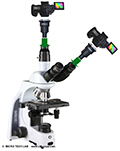 DSLR or system camera on the Euromex iScope is a cheaper alternative to classic brand-name microscopes