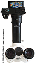 Mikroskopkamera Sony Alpha 6500 DSLM liefert im Test tolle Performance am Mikroskop!