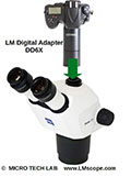 Zeiss Stemi 305 Stereomikroskop:Fotografieren mit digitalen Spiegelreflex-(DSLR) und Systemkameras (DSLM)