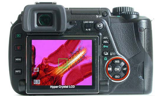 Olympus E-330: first Live View DSLR, introduced by Olympus in 2006, on the microscope