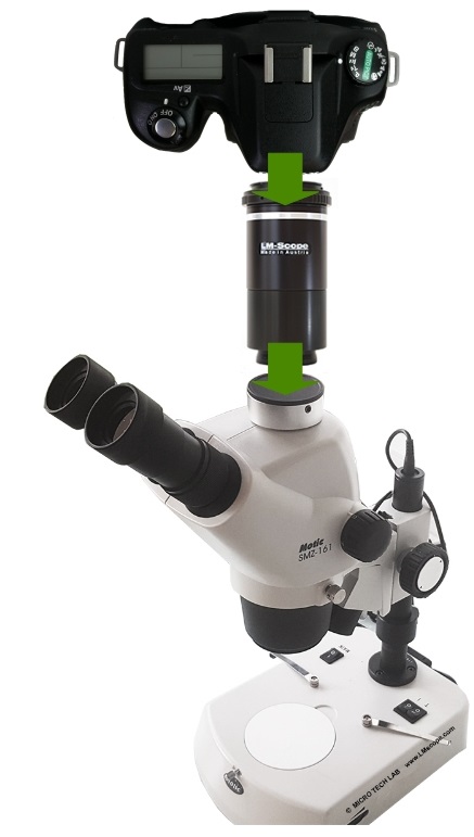 Mit dem Motic SMZ-161 und handelsblichen DSLR- bzw. spiegellosen Systemkamerasin die Welt der Fotomikroskopie einsteigen!