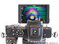 Spiegellose Nikon Z50 Kamera mit DX-Format berzeugt am Mikroskop