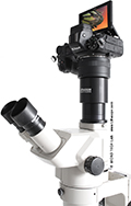 Machen Sie Ihr Olympus Mikroskop der SZ-Serie (SZ40, SZ60 und SZ11) fit fr die digitale Mikrofotografie - es lohnt sich!