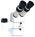 Digitale Fotografie mit dem Motic K500: ein sehr gutes Einsteiger und Fortgeschrittene-Mikroskop mit tollem Preis-/Leistungs-Verhltnis