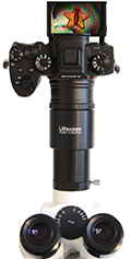Sony Alpha 9 Mark II (ILCE-9M2): Die spiegellose Profi Systemkamera mit Vollformatsensor berzeugt als Mikroskopkamera