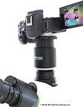 Un adaptateur d appareil photo  image directe professionnel et focalisable comme solution taille sur mesure pour les microscopes Olympus modernes