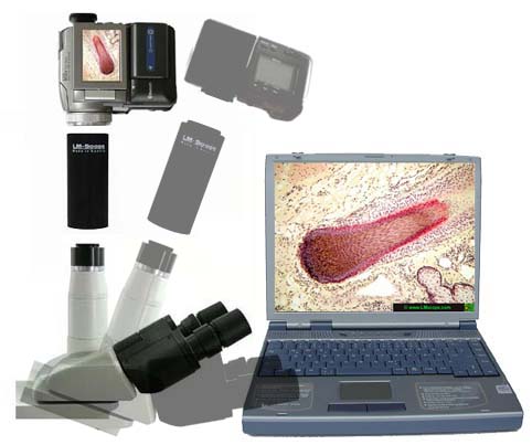camcorders on microscope