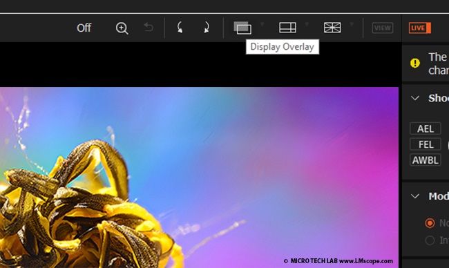 Bildberlagerung Live View Software Mikrofotografie